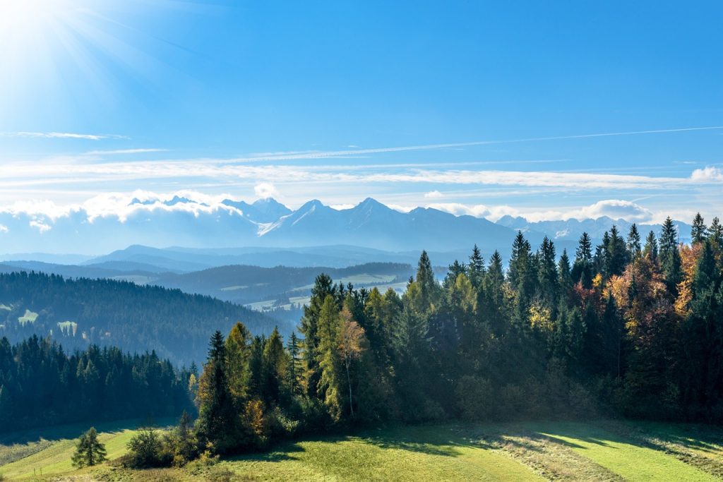 snowy peaks, meadows, mountains, blue sky, the sun, autumn, trees, yellow, poland, europe, pieniny, podhale, tatry, slovakia, nature, peace of mind, morning, landscape, the stage, coloration, traveler, sightseeing, free time, rocks, the rays, october, picturesque, gorgeous, colorful, poland, poland, tatry, slovakia, slovakia, slovakia, slovakia, slovakia