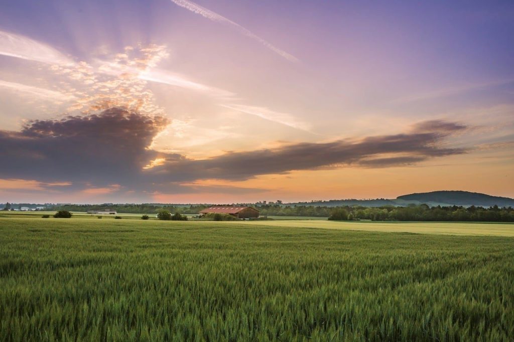 agriculture, calm, cloud, crop, field, hills, house, landscape, light, morning, nature, ray, scenic, sky, sun, tranquility, trees, warm, evening, horizon, dawn