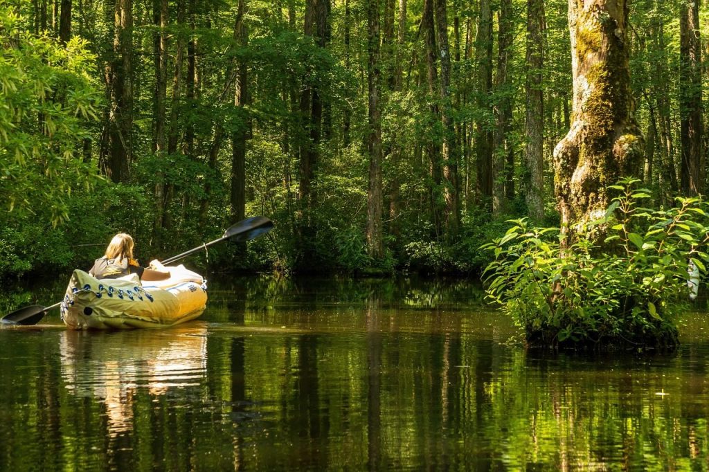 millpond, cypress swamp, kayak, kayak paddler, cypress trees, swamp, landscape, nature, wetland, outdoors, reflections, forest, marsh, lonely, atmospheric, mood, wetlands, water, mystical, alone, cypress, scenic, tranquil, kayak, kayak, kayak, kayak, kayak, wetland, wetland, marsh, cypress, cypress